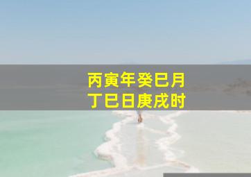 丙寅年癸巳月丁巳日庚戌时