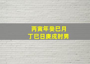 丙寅年癸巳月丁巳日庚戌时男