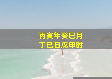 丙寅年癸巳月丁巳日戊申时