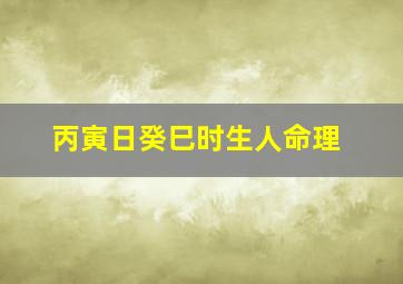 丙寅日癸巳时生人命理