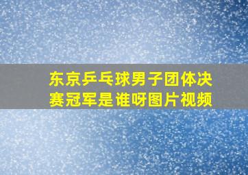 东京乒乓球男子团体决赛冠军是谁呀图片视频