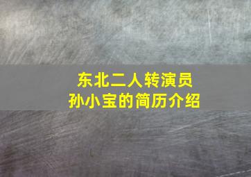 东北二人转演员孙小宝的简历介绍