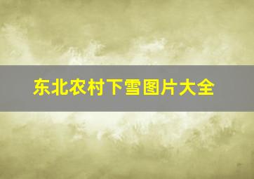 东北农村下雪图片大全