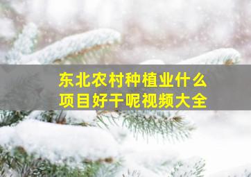 东北农村种植业什么项目好干呢视频大全