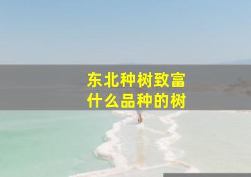 东北种树致富什么品种的树