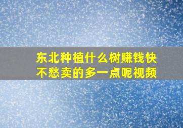 东北种植什么树赚钱快不愁卖的多一点呢视频