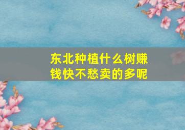 东北种植什么树赚钱快不愁卖的多呢