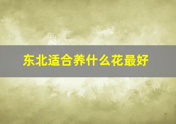 东北适合养什么花最好