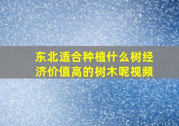 东北适合种植什么树经济价值高的树木呢视频