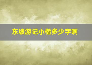 东坡游记小楷多少字啊