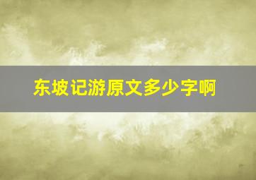 东坡记游原文多少字啊