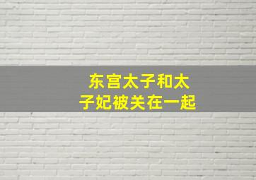 东宫太子和太子妃被关在一起