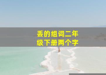 丢的组词二年级下册两个字