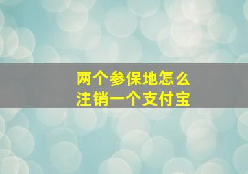 两个参保地怎么注销一个支付宝