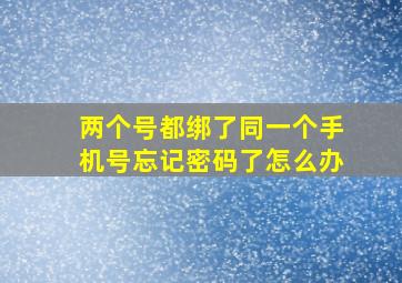 两个号都绑了同一个手机号忘记密码了怎么办