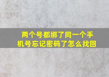 两个号都绑了同一个手机号忘记密码了怎么找回