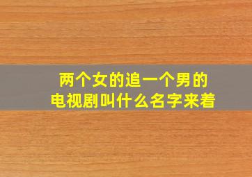 两个女的追一个男的电视剧叫什么名字来着