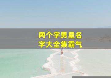 两个字男星名字大全集霸气