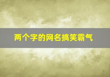 两个字的网名搞笑霸气