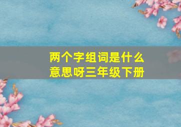 两个字组词是什么意思呀三年级下册