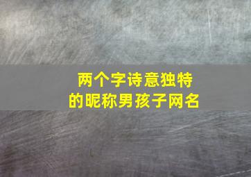 两个字诗意独特的昵称男孩子网名