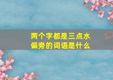 两个字都是三点水偏旁的词语是什么