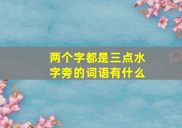 两个字都是三点水字旁的词语有什么