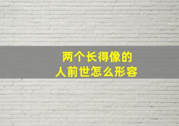 两个长得像的人前世怎么形容