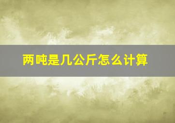 两吨是几公斤怎么计算