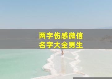 两字伤感微信名字大全男生