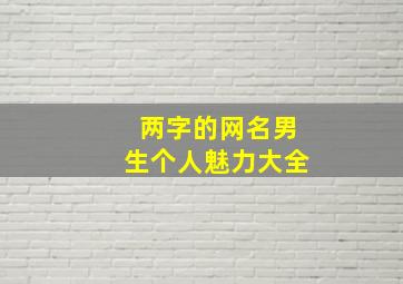 两字的网名男生个人魅力大全