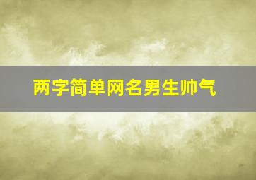 两字简单网名男生帅气