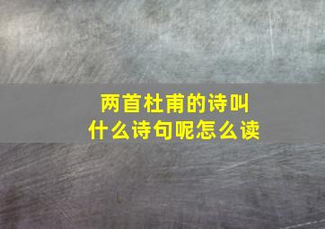 两首杜甫的诗叫什么诗句呢怎么读