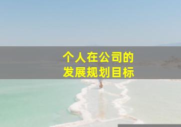 个人在公司的发展规划目标