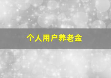 个人用户养老金