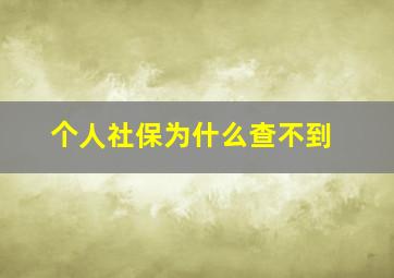 个人社保为什么查不到