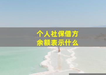 个人社保借方余额表示什么