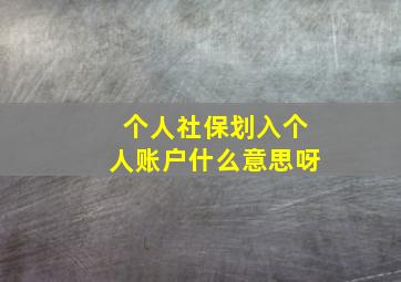 个人社保划入个人账户什么意思呀