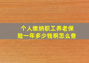 个人缴纳职工养老保险一年多少钱啊怎么查