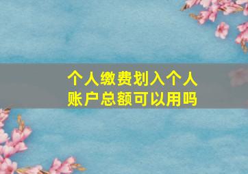 个人缴费划入个人账户总额可以用吗