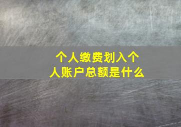 个人缴费划入个人账户总额是什么