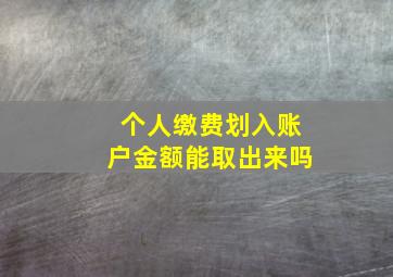 个人缴费划入账户金额能取出来吗