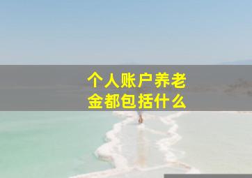 个人账户养老金都包括什么