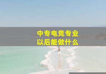 中专电竞专业以后能做什么