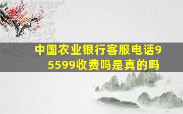 中国农业银行客服电话95599收费吗是真的吗