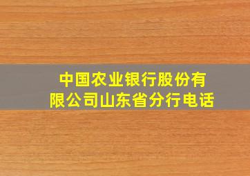 中国农业银行股份有限公司山东省分行电话