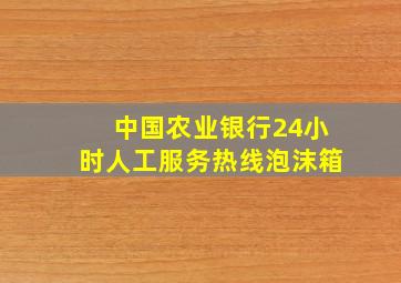 中国农业银行24小时人工服务热线泡沫箱