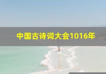 中国古诗词大会1016年