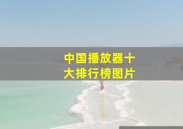 中国播放器十大排行榜图片