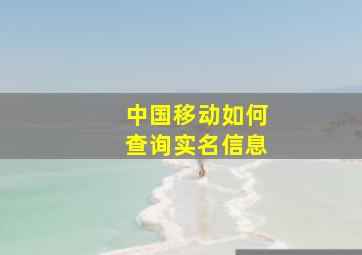 中国移动如何查询实名信息